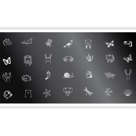 Schablone ECHO FAUNA 1 SPEKTR