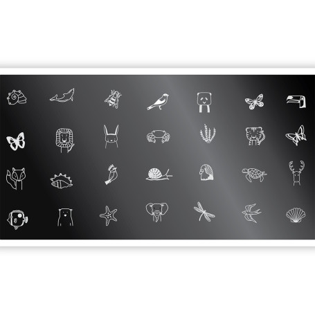 Schablone ECHO FAUNA 1 SPEKTR