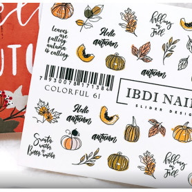 IBDI NAILS COLORFUL 61