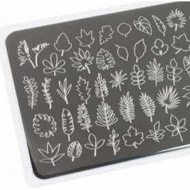 Schablone Botanical 1 Lesly