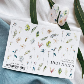 COLORFUL 174 IBDI NAILS 2
