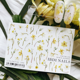 COLORFUL 184 IBDI NAILS 2