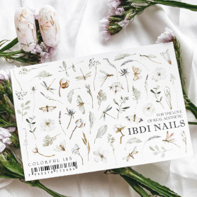 COLORFUL 185 IBDI NAILS 2