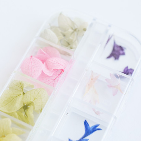 ECHTE TROCKENBLUMEN 12 Stück NailArt