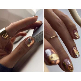 GOLDENE LICHT - PIGMENT FLAKES (0,5g) ZooNail 2