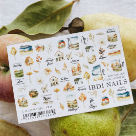 COLORFUL 190 IBDI NAILS 2