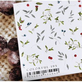 COLORFUL 195 IBDI NAILS