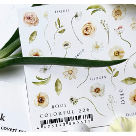 COLORFUL 206 IBDI NAILS