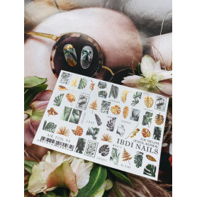 AIR FOIL 93 IBDI NAILS 2