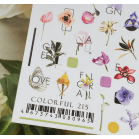 COLORFUL 215 IBDI NAILS