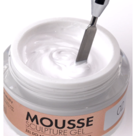 02 Polar White - MOUSSE SCULPTURE GEL15 ml Victoria Vynn 2