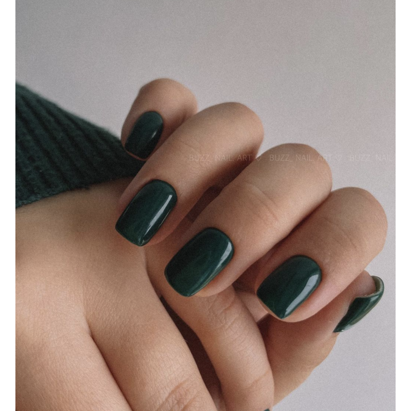 Iguana - Color Gel 15ml AMERICAN CREATOR-Online-Shop-Double Beauty Shop