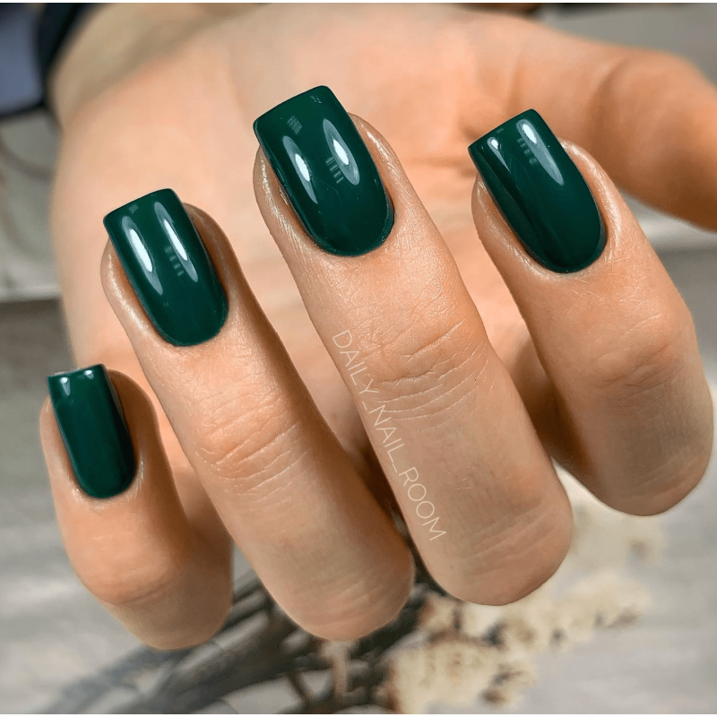 Iguana - Color Gel 15ml AMERICAN CREATOR-Online-Shop-Double Beauty Shop