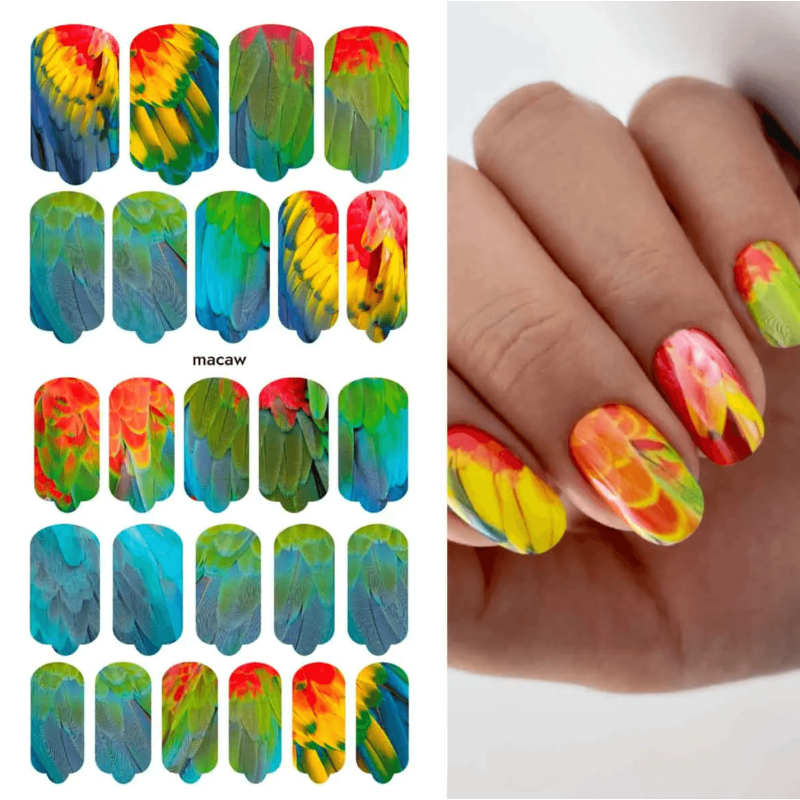Macaw - Nail Wraps by Provocative Nails