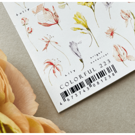 223 COLORFUL - IBDI NAILS