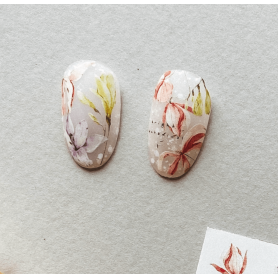 223 COLORFUL - IBDI NAILS 2