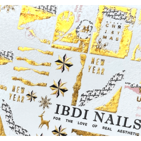 131 AIR FOIL - IBDI NAILS 2