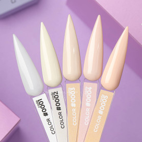 0003 - GEL POLISH 12ml DNKa 2