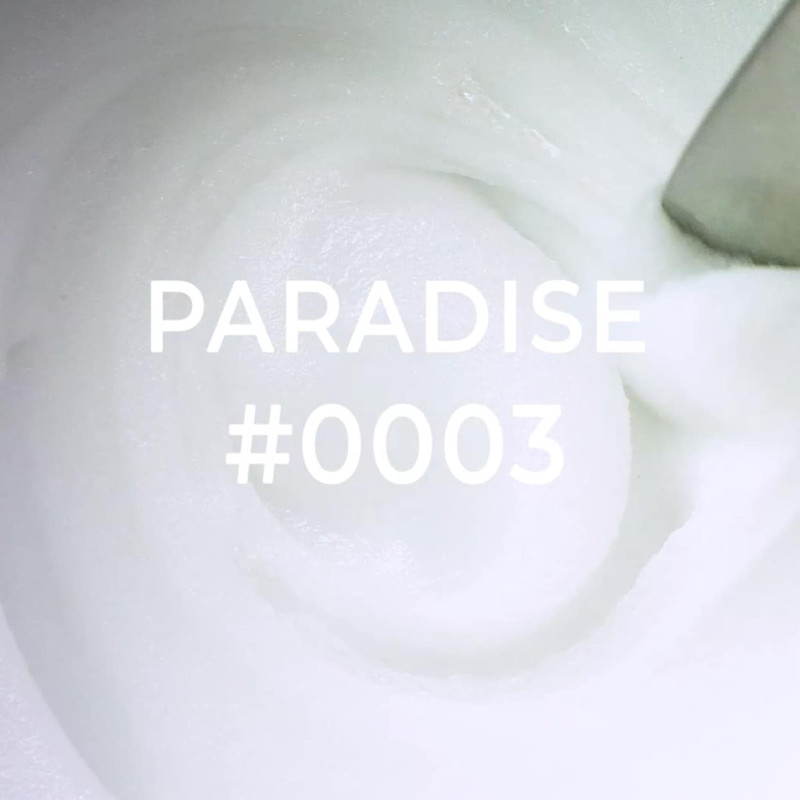 0003 Paradise - AcrylGel 30ml DNKa