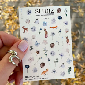 116 - SLIDIZ