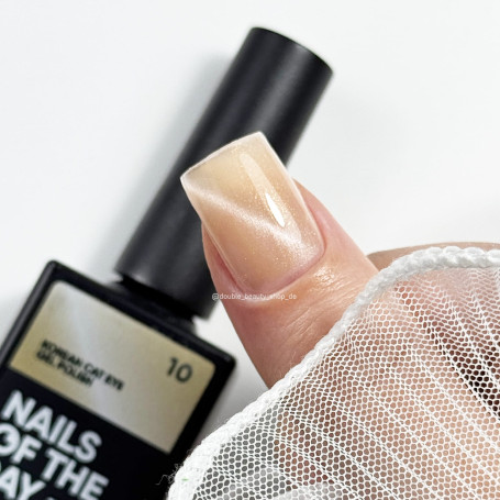 10 KOREAN CAT EYE - GEL POLISH 10ml NAILS OF THE DAY