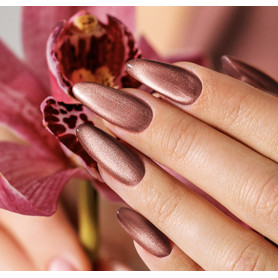 407 Hollynude - Cat Eye Gel polish 8ml VICTORIA VYNN 2