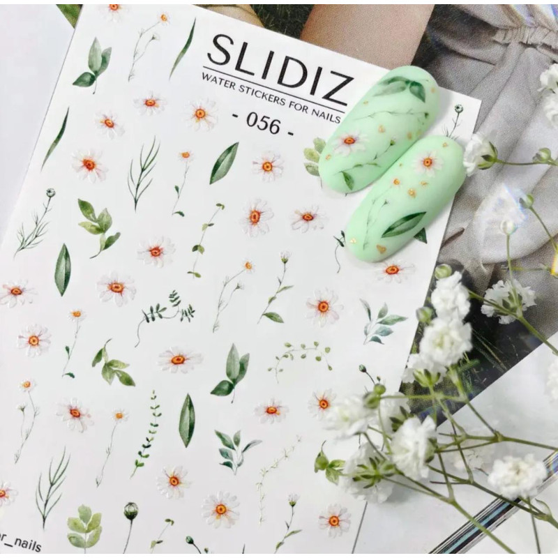056 - SLIDIZ