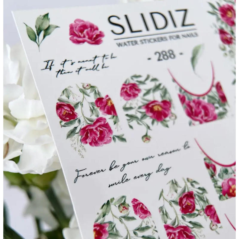 288 - FRENCH design SLIDIZ-ALLE SLIDER-Double Beauty Shop