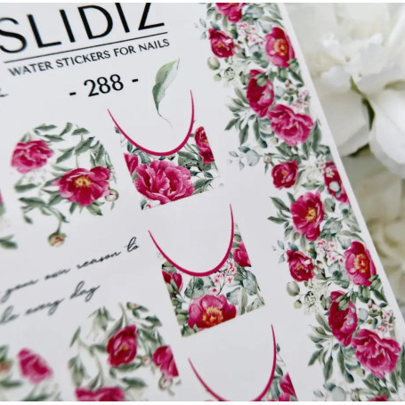 288 - FRENCH design SLIDIZ