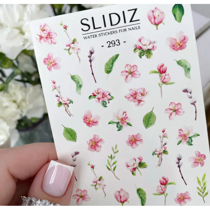 293 - SLIDIZ