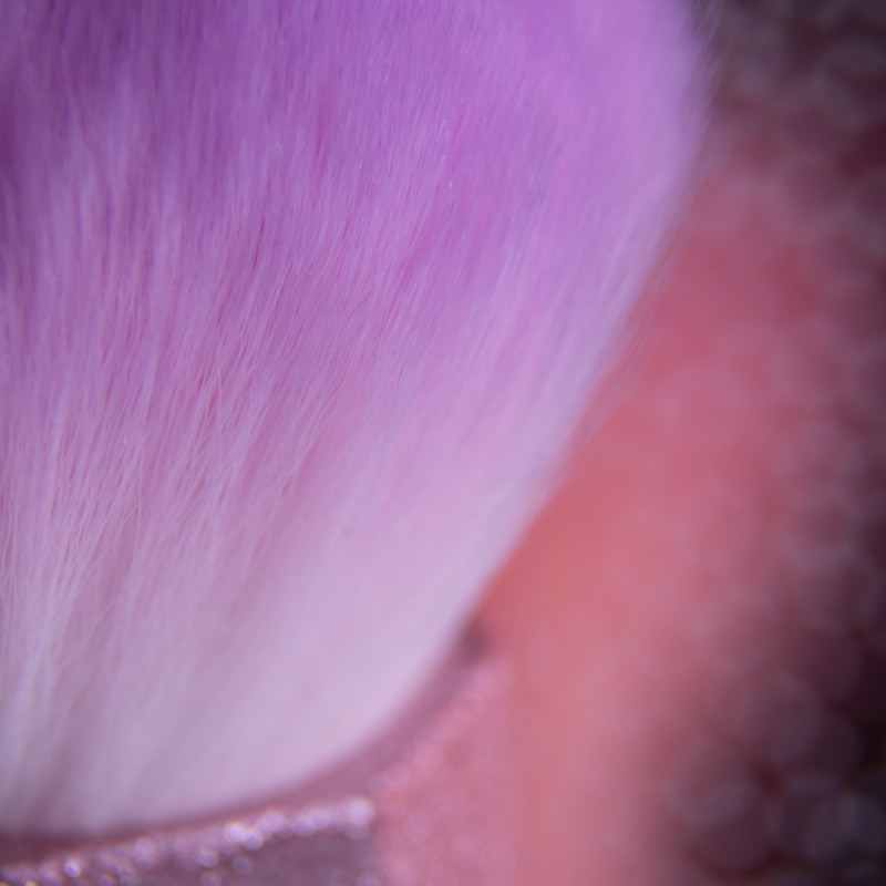 STAUBPINSEL Lila-STAUBPINSEL UND ANDERE-Double Beauty Shop