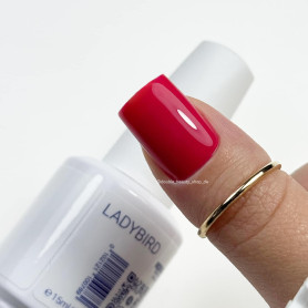 LadyBird - Color Gel 15ml AMERICAN CREATOR 2