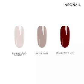 Cool Muse - Collection Set (3 x 3ml) Neonail 2